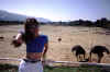 s_ostrich.jpg (67118 bytes)