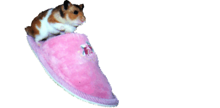 hammy_ani.gif (132892 bytes)